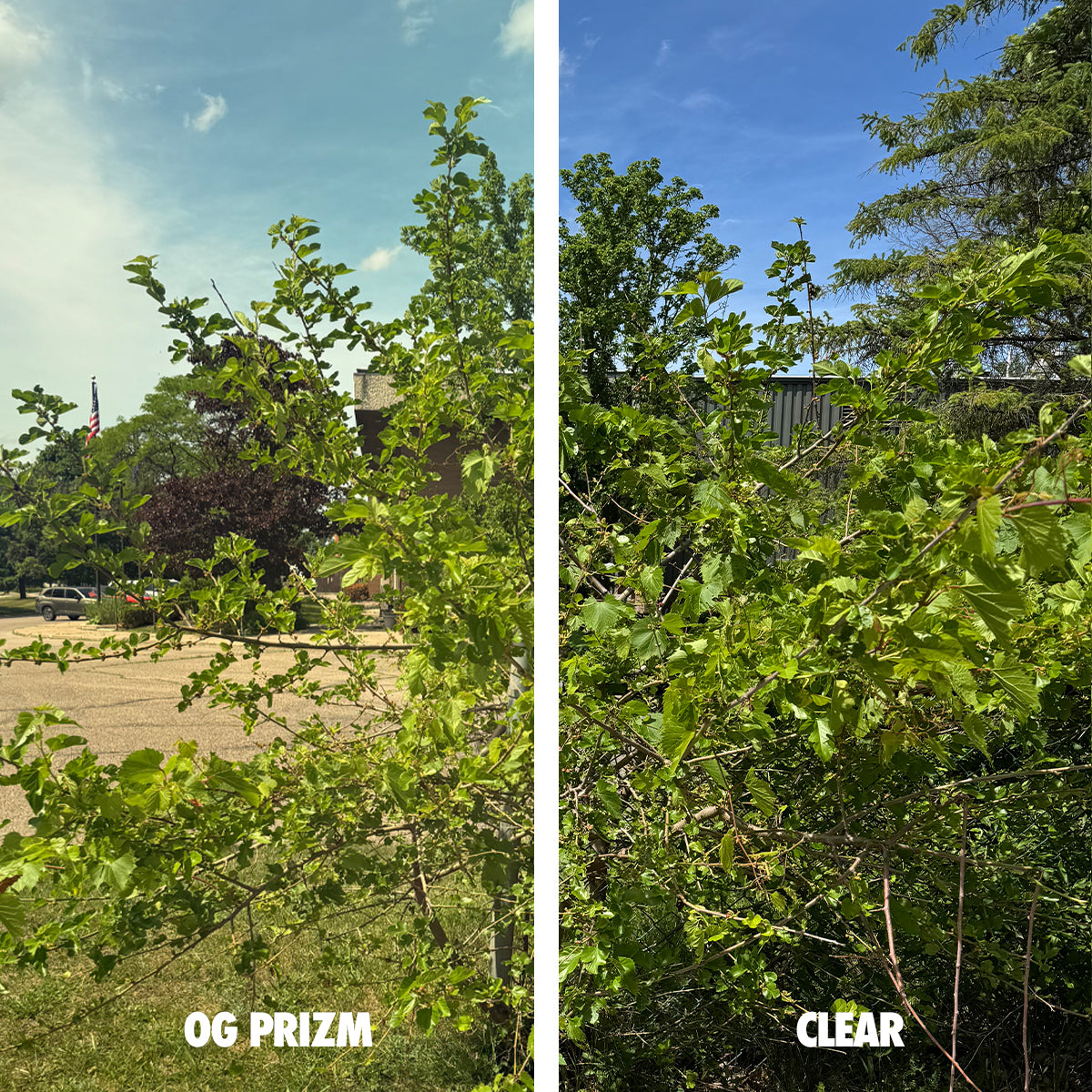 JT™ SPECTRA DUAL-PANE THERMAL REPLACEMENT LENS - OG ORANGE PRIZM